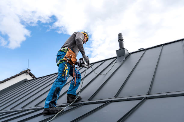 Best Roof Coating and Sealing  in Roundup, MT